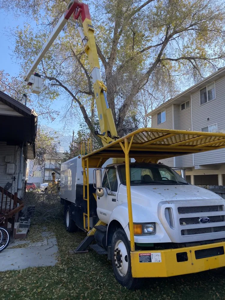 Custom landscape installation in Salt Lake City, UT by Zoom Tree Experts & Landscaping