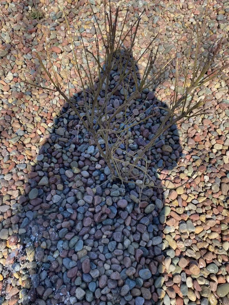 Professional residential landscaping for outdoor upgrades in Salt Lake City, UT by Zoom Tree Experts & Landscaping