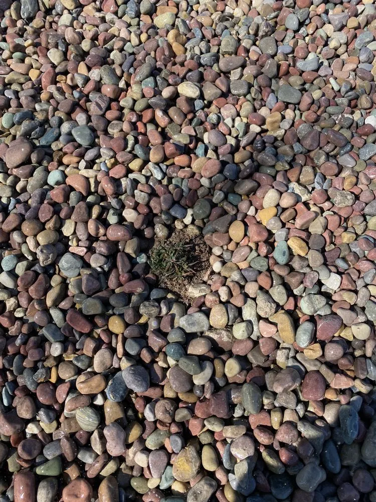 Affordable yard cleanup service in Salt Lake City, UT - Zoom Tree Experts & Landscaping