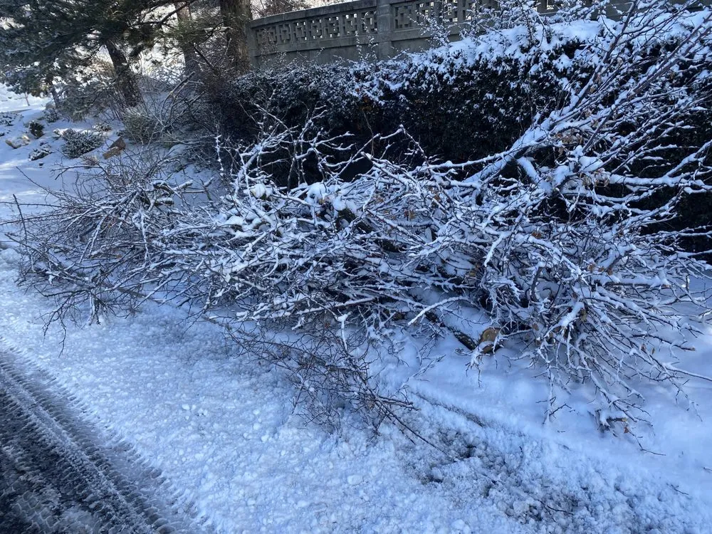 Reliable landscape installation for year-round maintenance across Salt Lake City, UT - Zoom Tree Experts & Landscaping