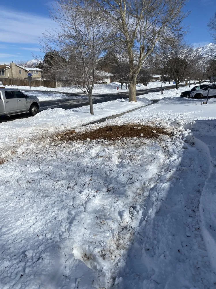 Trusted outdoor landscaping experts serving Salt Lake City, UT - Zoom Tree Experts & Landscaping