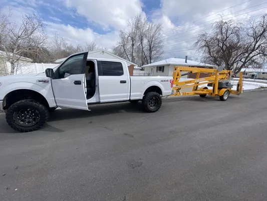 Zoom Tree Experts & Landscaping Logo