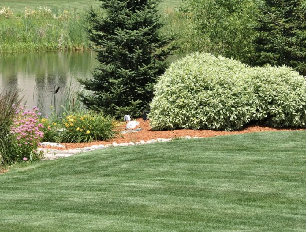 Reliable landscaping services in Mount Washington, KY by ZoomScapes