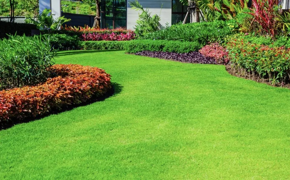 Trusted yard cleanup service experts serving Mount Washington, KY - ZoomScapes