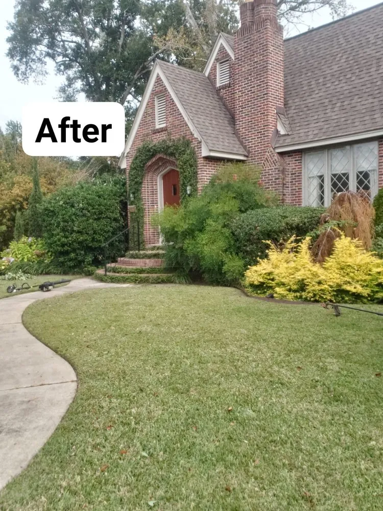 Custom yard maintenance experts serving Pensacola, FL - Zorja Lawn Care