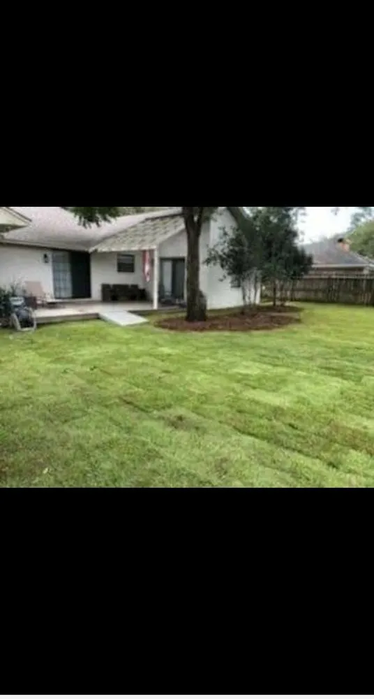 Expert yard maintenance in Pensacola, FL - Zorja Lawn Care