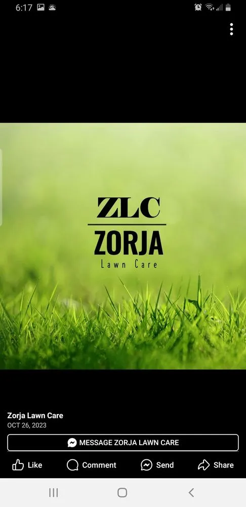 Custom yard cleanup service experts serving Pensacola, FL - Zorja Lawn Care