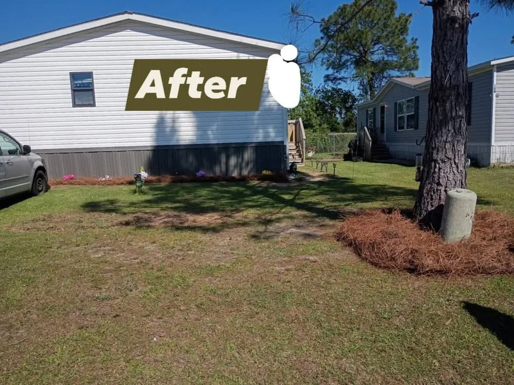 Professional yard cleanup service in Pensacola, FL by Zorja Lawn Care