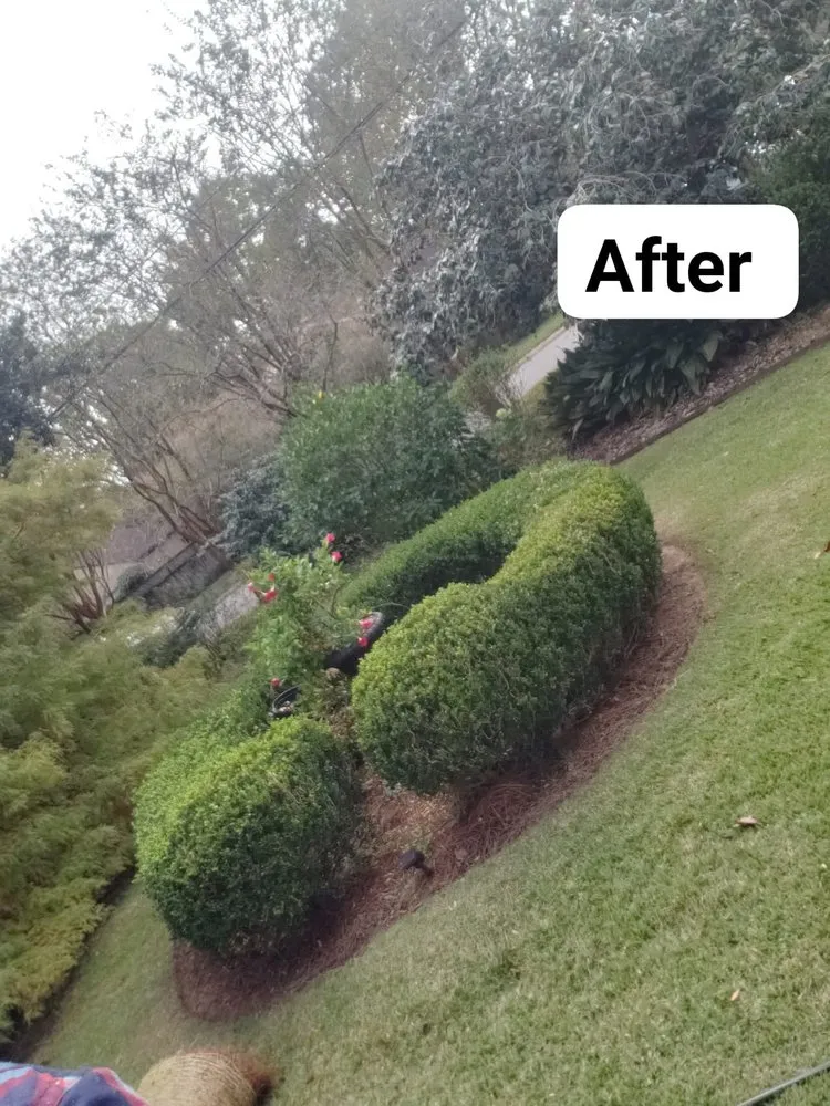 Professional outdoor landscaping for beautiful yards in Pensacola, FL by Zorja Lawn Care