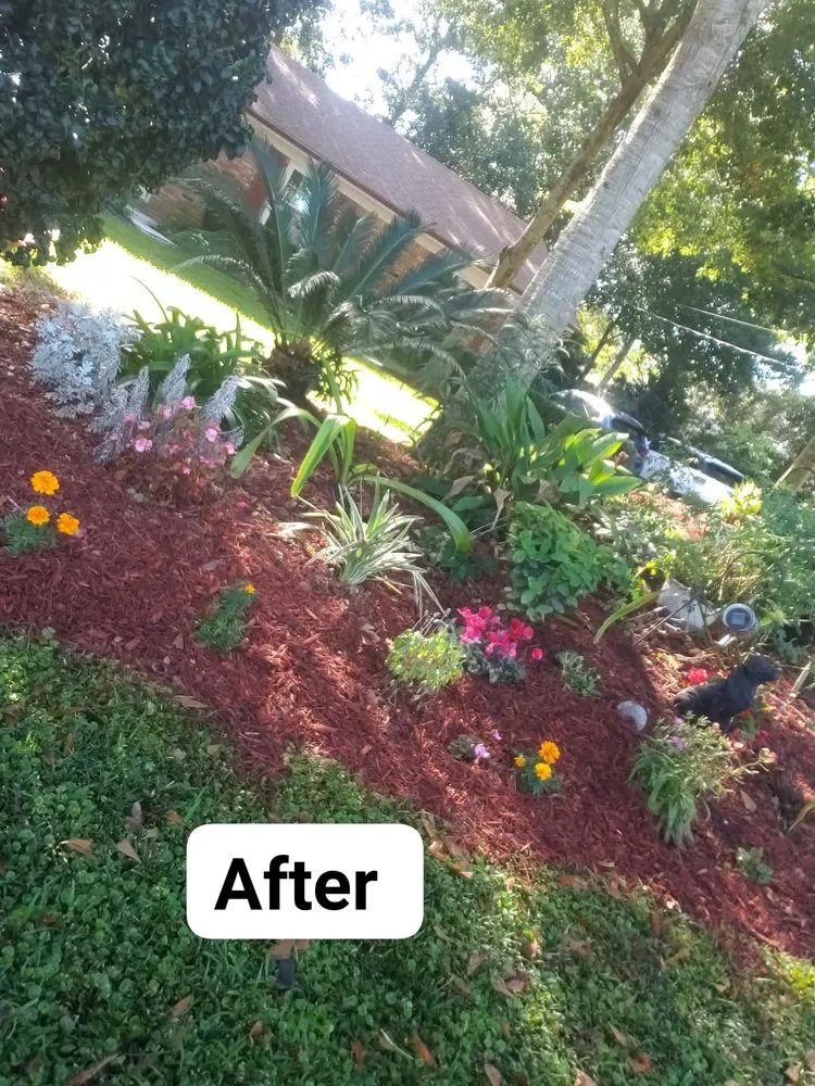 Custom outdoor landscaping experts serving Pensacola, FL - Zorja Lawn Care