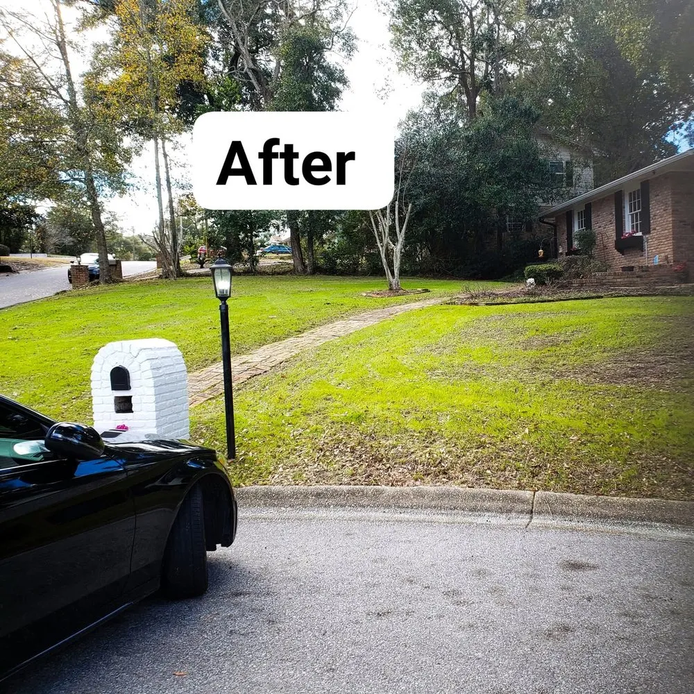 Reliable yard maintenance in Pensacola, FL by Zorja Lawn Care