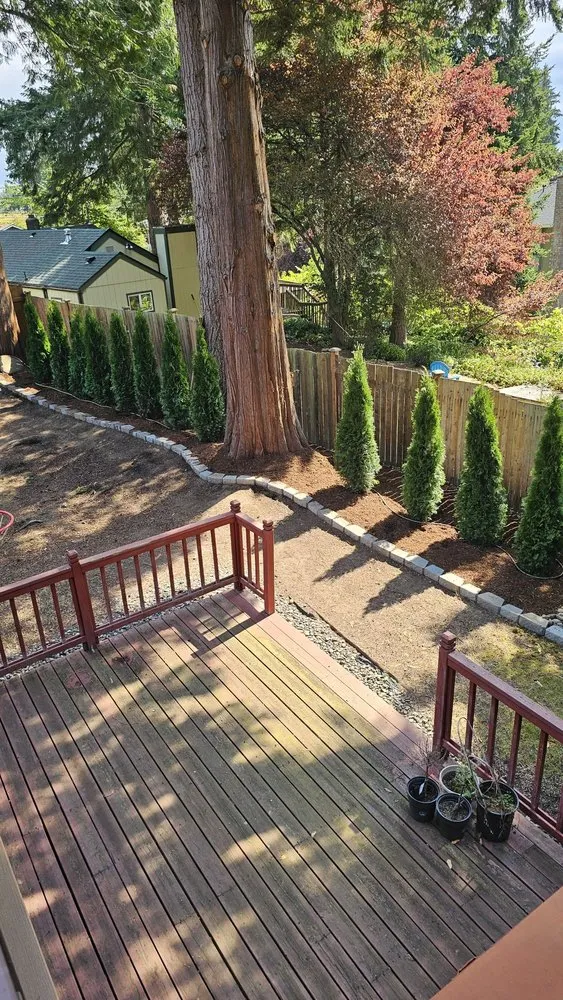 Trusted yard cleanup service experts serving Lynnwood, WA - Zorro Landscaping