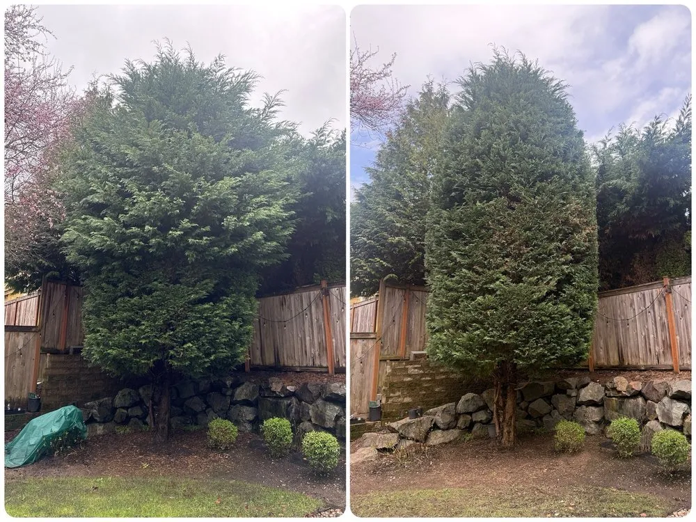 Reliable garden landscaping for residential properties in Lynnwood, WA by Zorro Landscaping