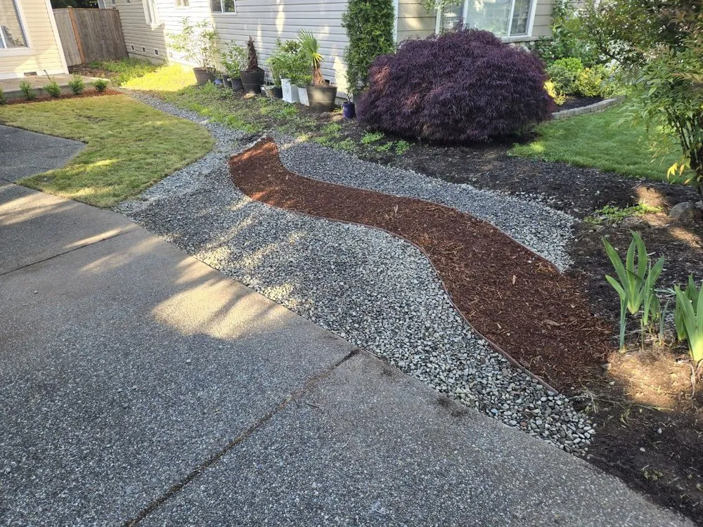 Top-rated yard maintenance in Lynnwood, WA - Zorro Landscaping