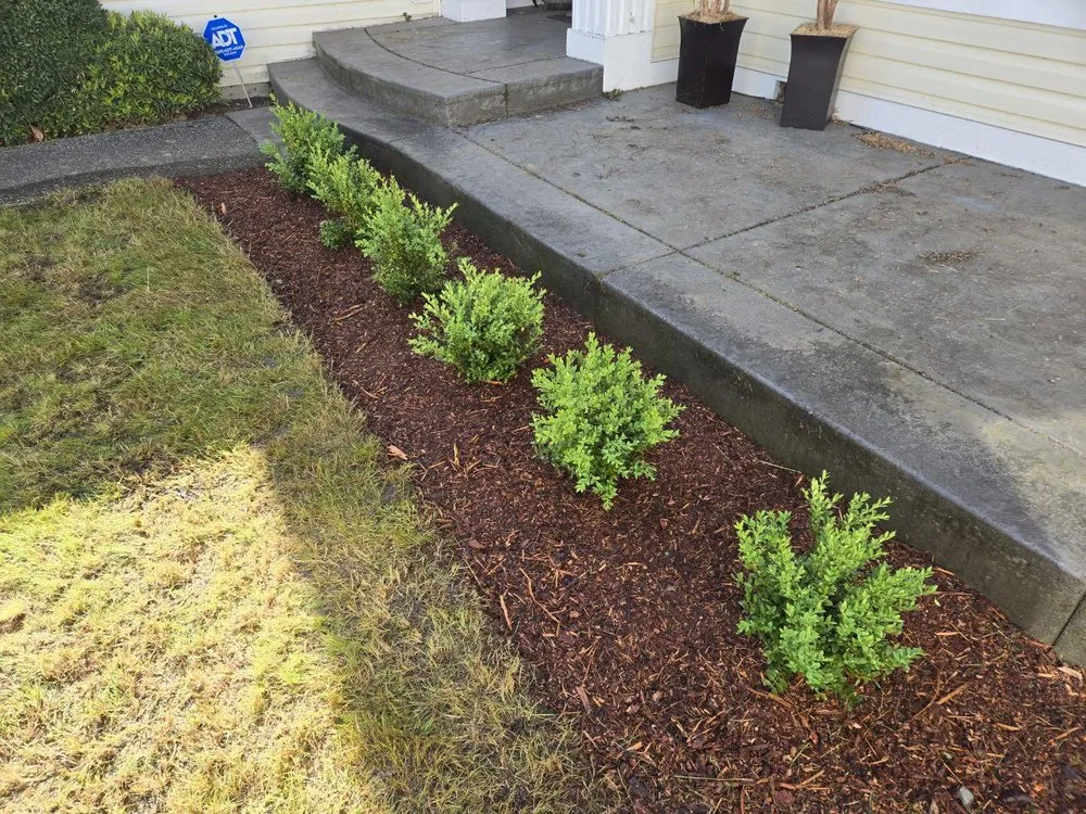 Local yard cleanup service for residential properties in Lynnwood, WA by Zorro Landscaping