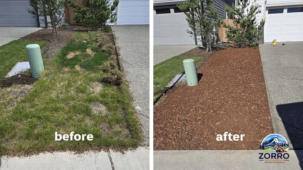Trusted landscape installation for residential properties in Lynnwood, WA by Zorro Landscaping