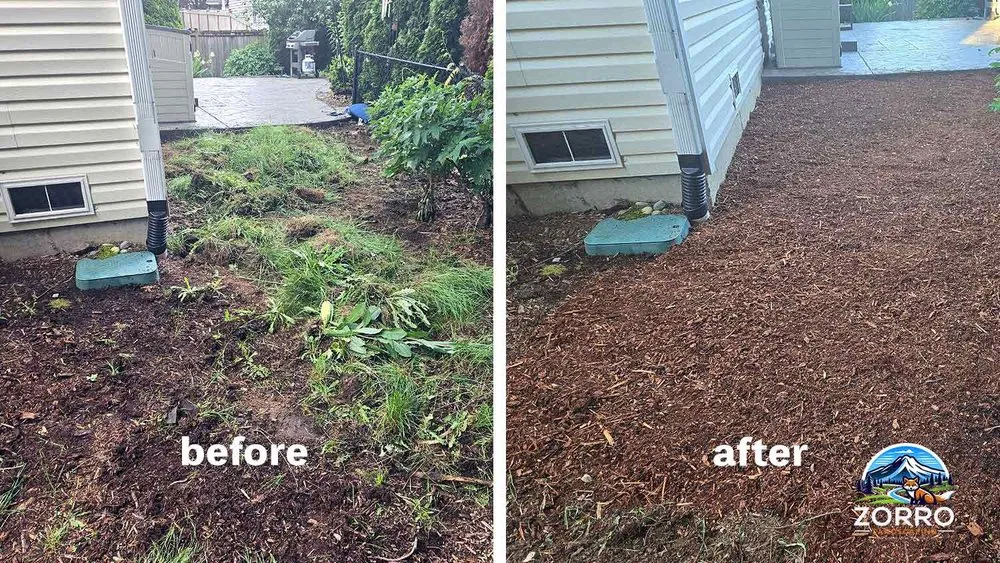 Affordable yard maintenance in Lynnwood, WA by Zorro Landscaping