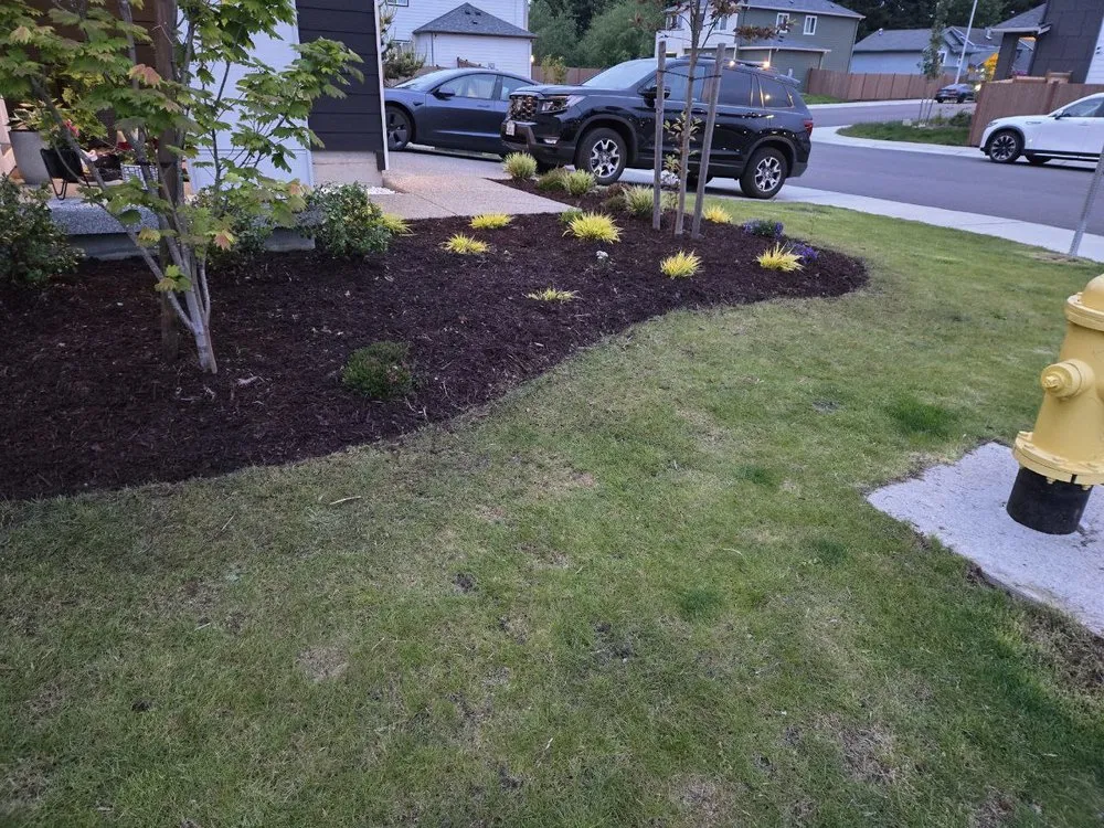 Top-rated garden landscaping experts serving Lynnwood, WA - Zorro Landscaping