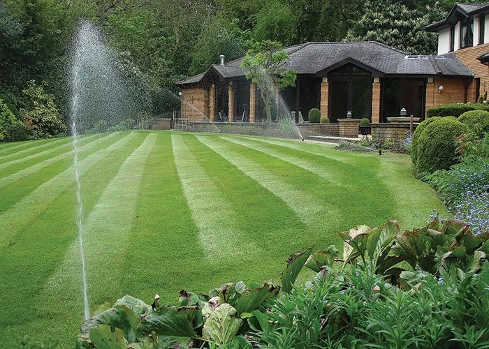 Top-rated outdoor landscaping experts serving Lynnwood, WA - Zorro Landscaping