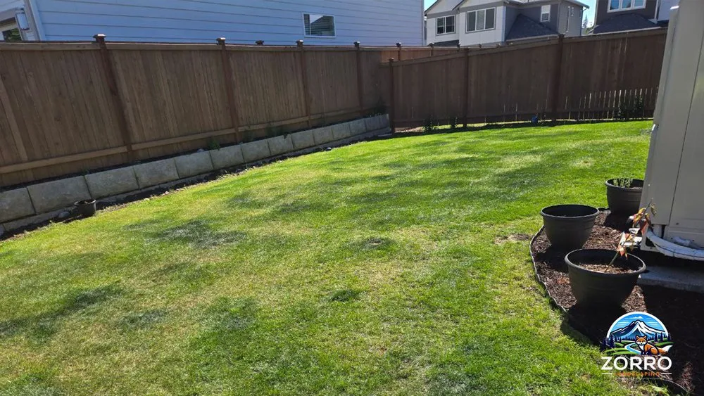 Professional yard cleanup service for beautiful yards across Lynnwood, WA - Zorro Landscaping