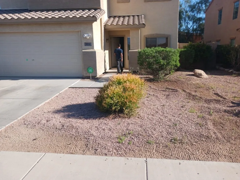 Custom landscaping services in Eloy, AZ by Zos Yard and Maintenance