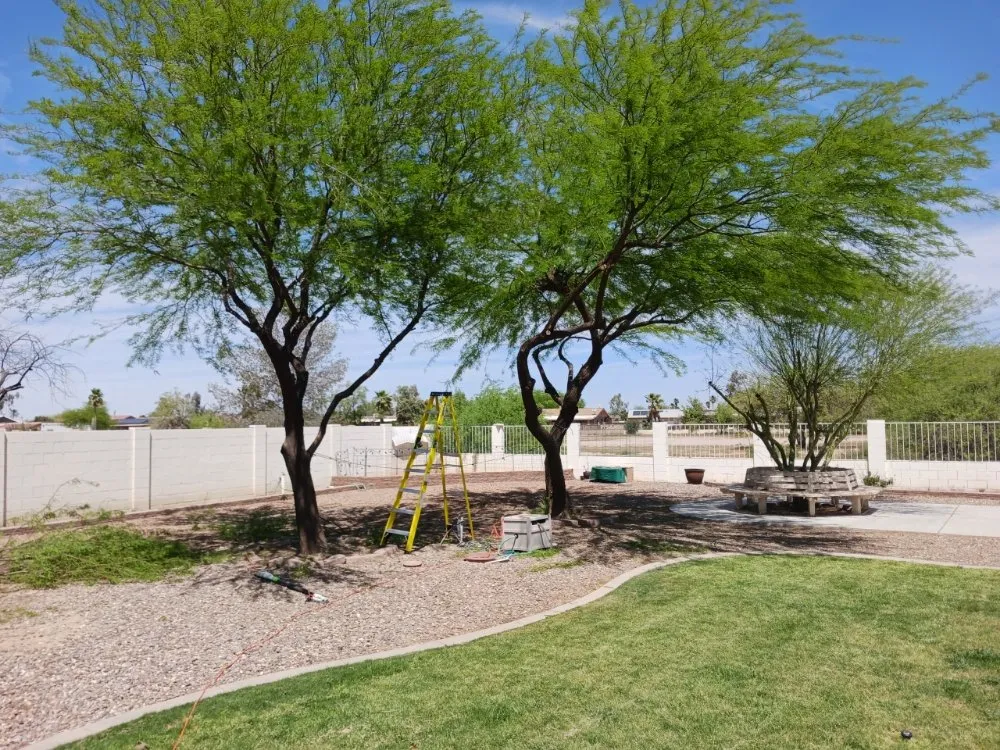 Reliable lawn mowing service near you in Eloy, AZ by Zos Yard and Maintenance