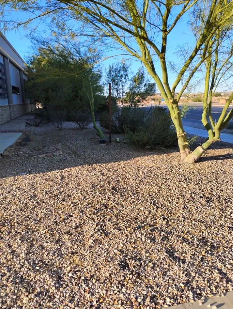Local outdoor landscaping in Eloy, AZ - Zos Yard and Maintenance