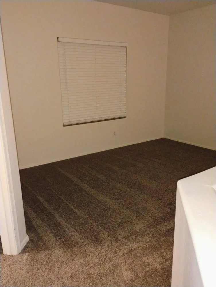 Professional residential landscaping in Eloy, AZ - Zos Yard and Maintenance