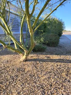 Zos Yard and Maintenance