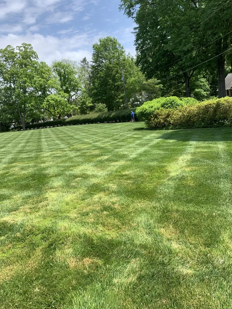 Expert residential landscaping for residential properties in Winston-Salem, NC by Zotelo's Lawncare