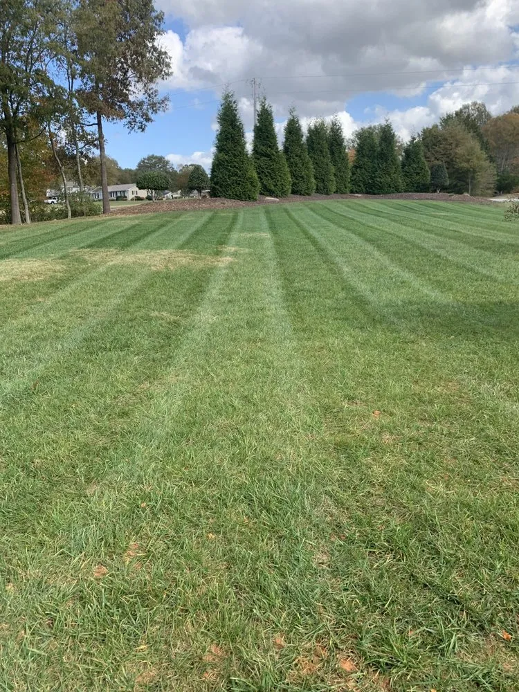 Expert landscape installation near you in Winston-Salem, NC by Zotelo's Lawncare
