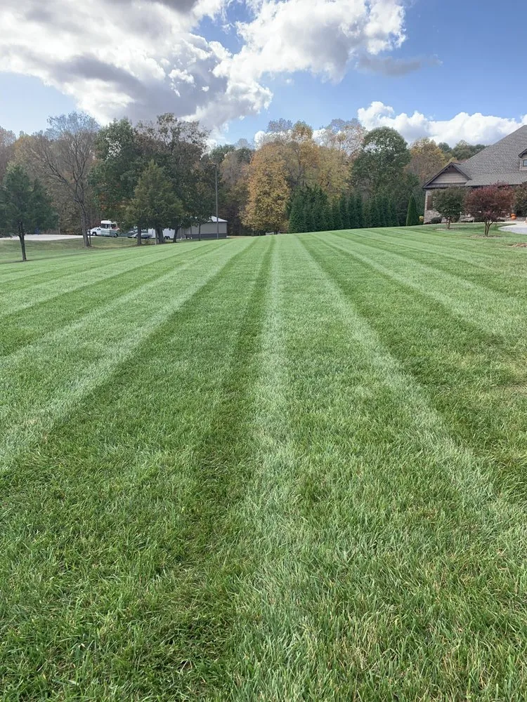 Affordable yard maintenance for homes in Winston-Salem, NC by Zotelo's Lawncare