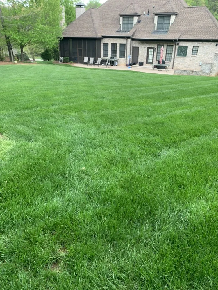 Professional lawn mowing service in Winston-Salem, NC by Zotelo's Lawncare