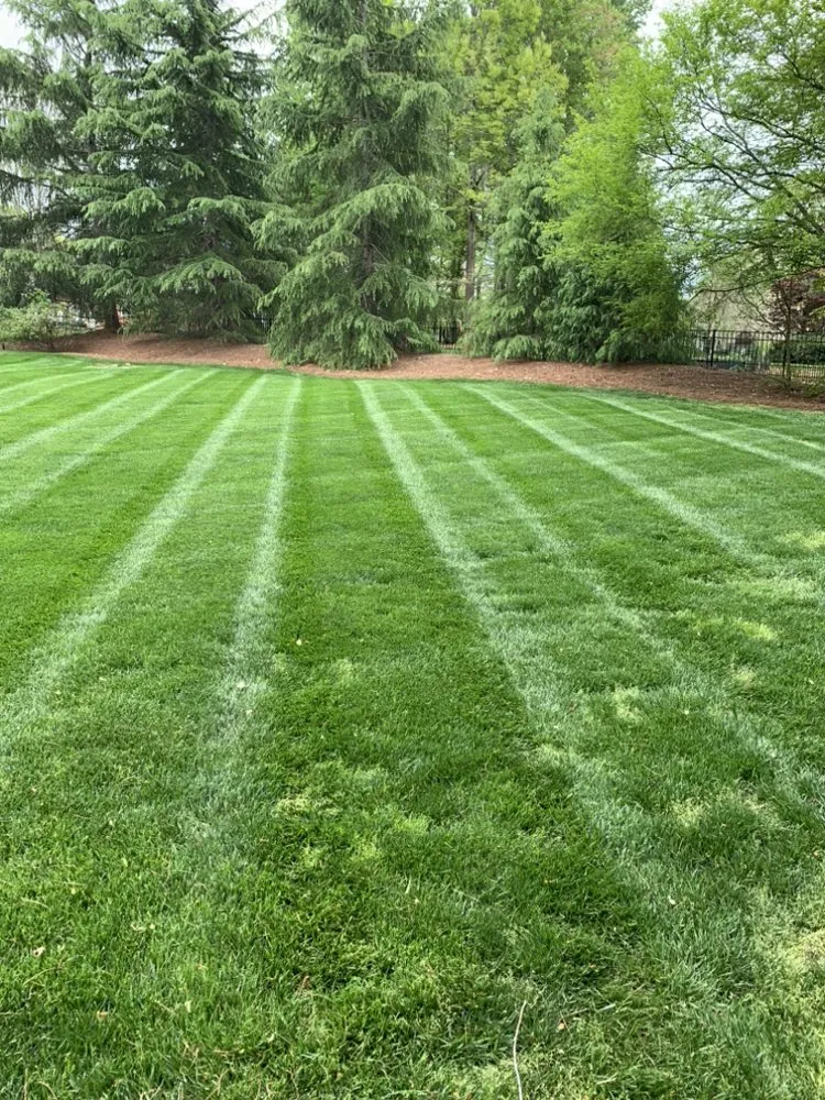 Custom yard cleanup service in Winston-Salem, NC - Zotelo's Lawncare