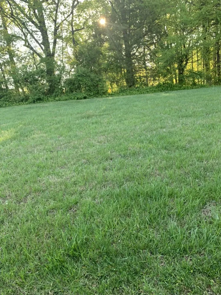 Expert residential landscaping in Winston-Salem, NC - Zotelo's Lawncare