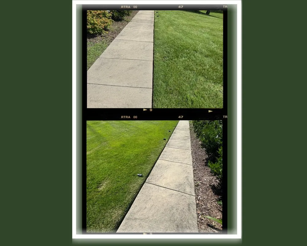 Reliable landscape installation for year-round maintenance across Winston-Salem, NC - Zotelo's Lawncare