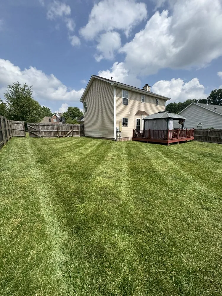 Top-rated yard cleanup service in Winston-Salem, NC by Zotelo's Lawncare