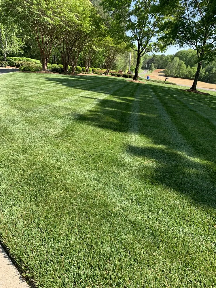 Professional landscape installation experts serving Winston-Salem, NC - Zotelo's Lawncare