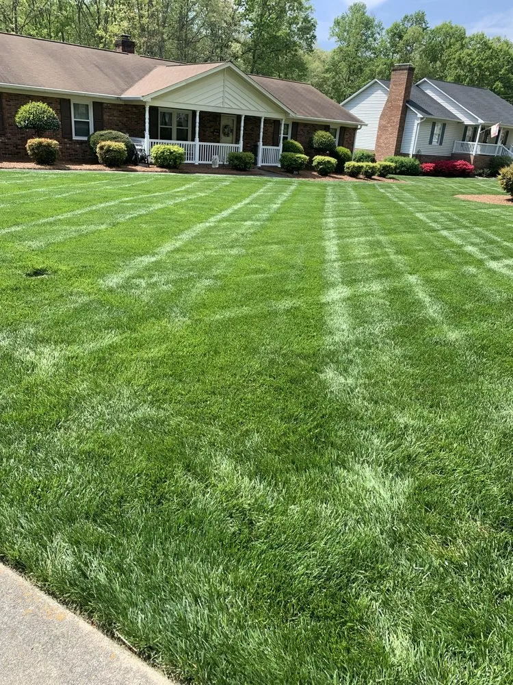 Expert yard cleanup service in Winston-Salem, NC by Zotelo's Lawncare