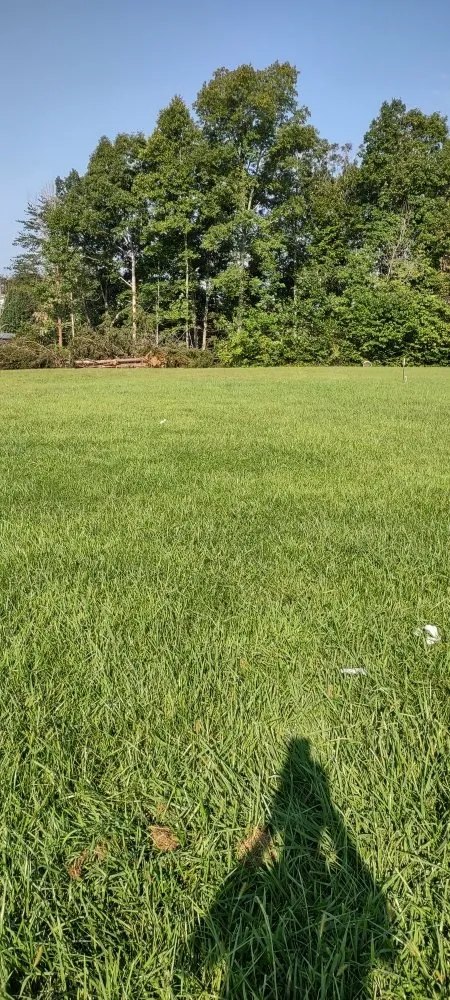 Top-rated yard cleanup service experts serving Stoneville, NC - Zp Landscaping Services