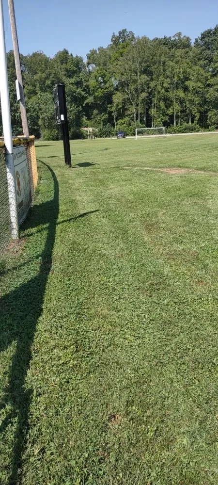 Professional yard cleanup service in Stoneville, NC by Zp Landscaping Services