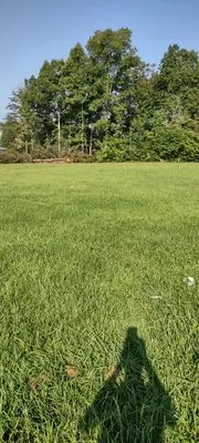 Zp Landscaping Services