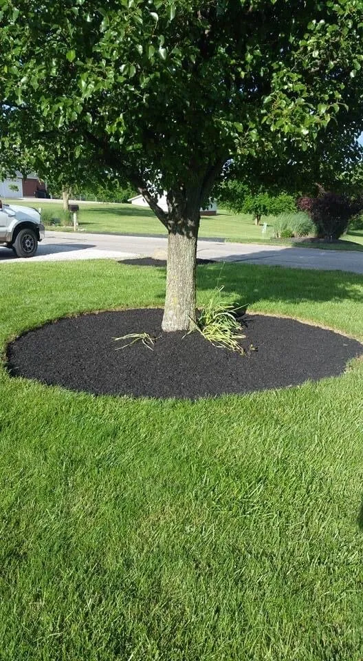 Expert lawn care service in Harrison, OH by ZP Lawncare