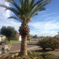 ZPZ Landscaping Logo