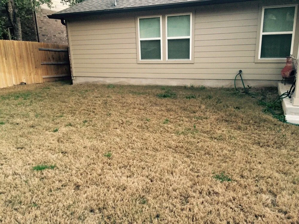 Top-rated landscape installation with custom design across Pflugerville, TX - ZR Landscapes & Irrigation