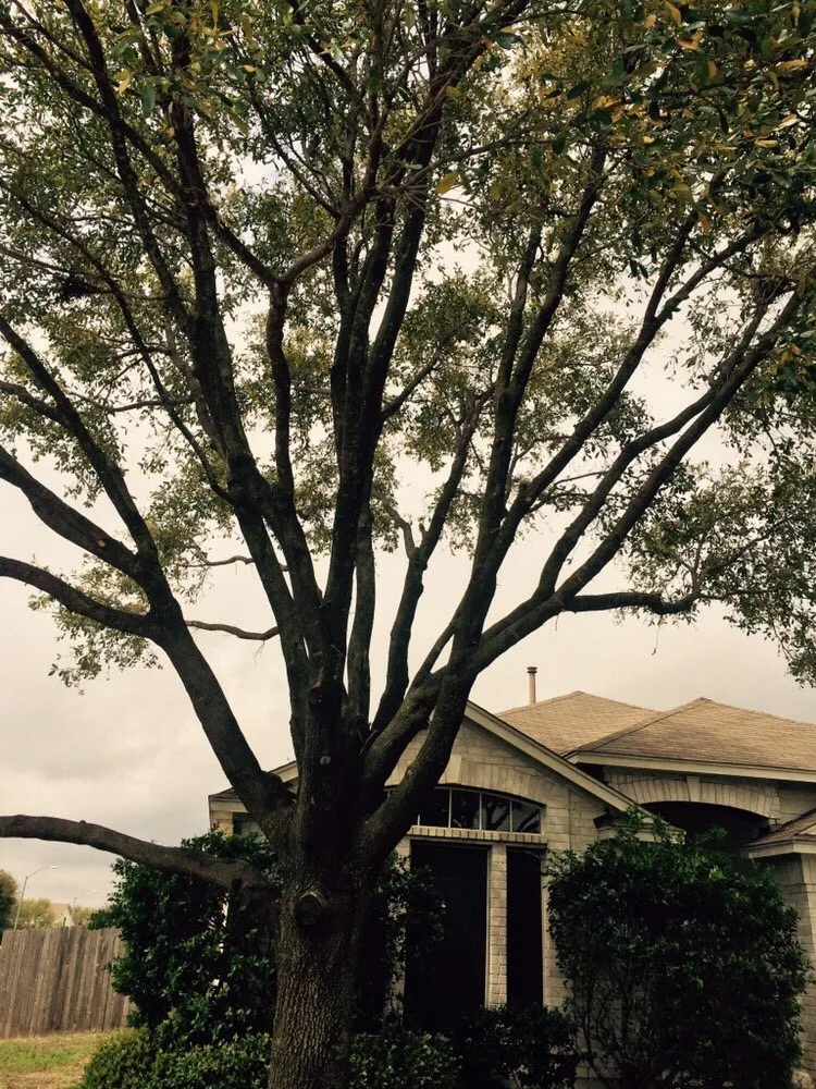 Reliable landscape design experts serving Pflugerville, TX - ZR Landscapes & Irrigation