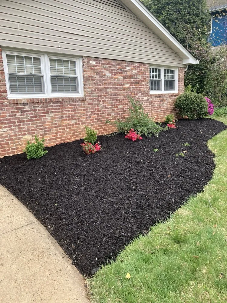 Local yard cleanup service in Hendersonville, NC - ZR Landscaping and Grading