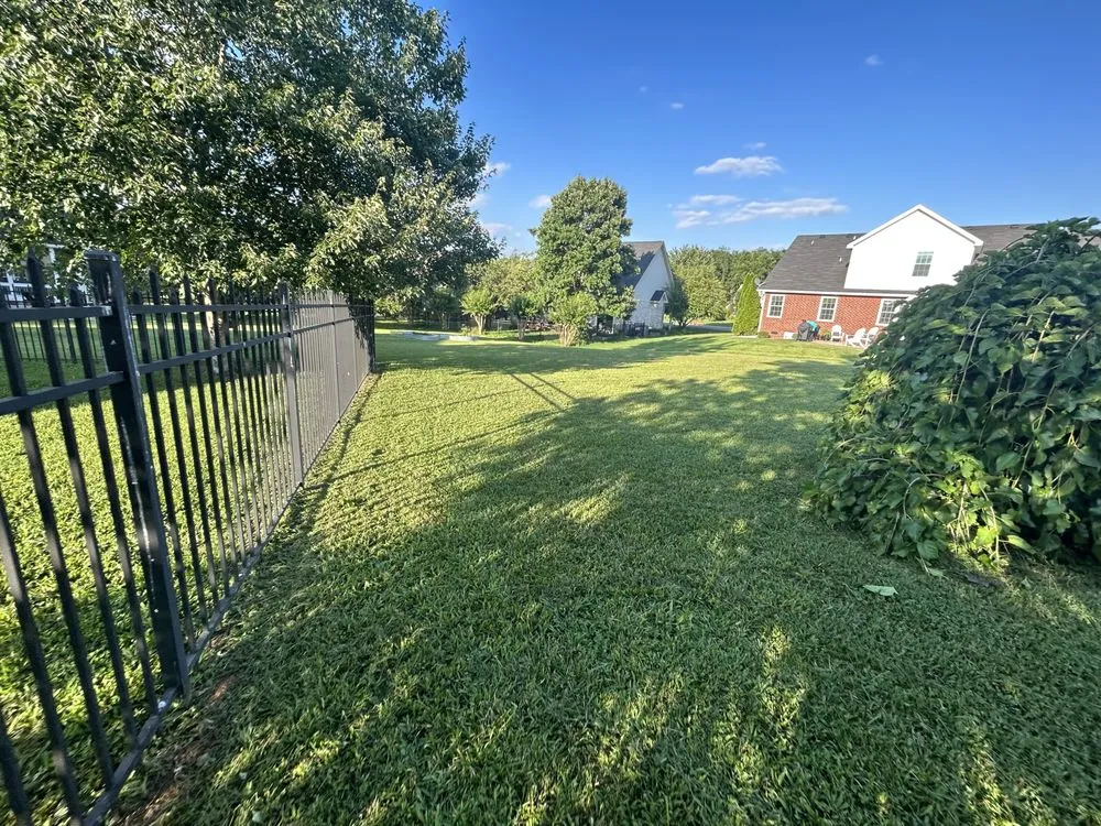 Expert landscape installation in Murfreesboro, TN - ZR Lawn Care