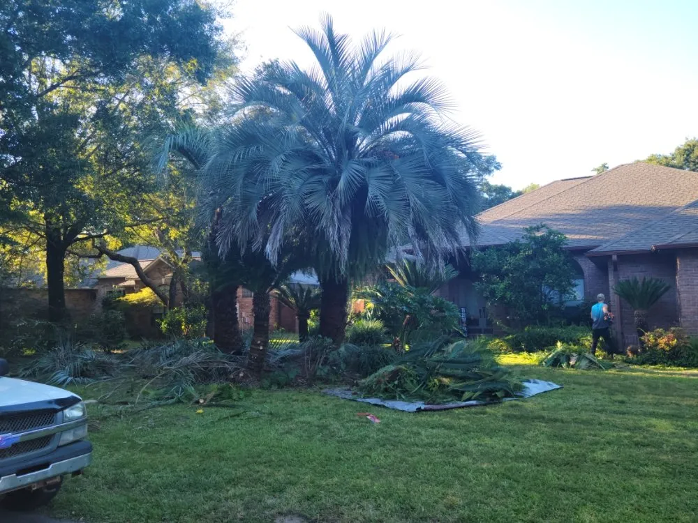 Local landscape installation in Navarre, FL - ZR Lawn Pros