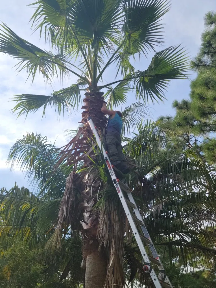 Reliable garden landscaping experts serving Navarre, FL - ZR Lawn Pros